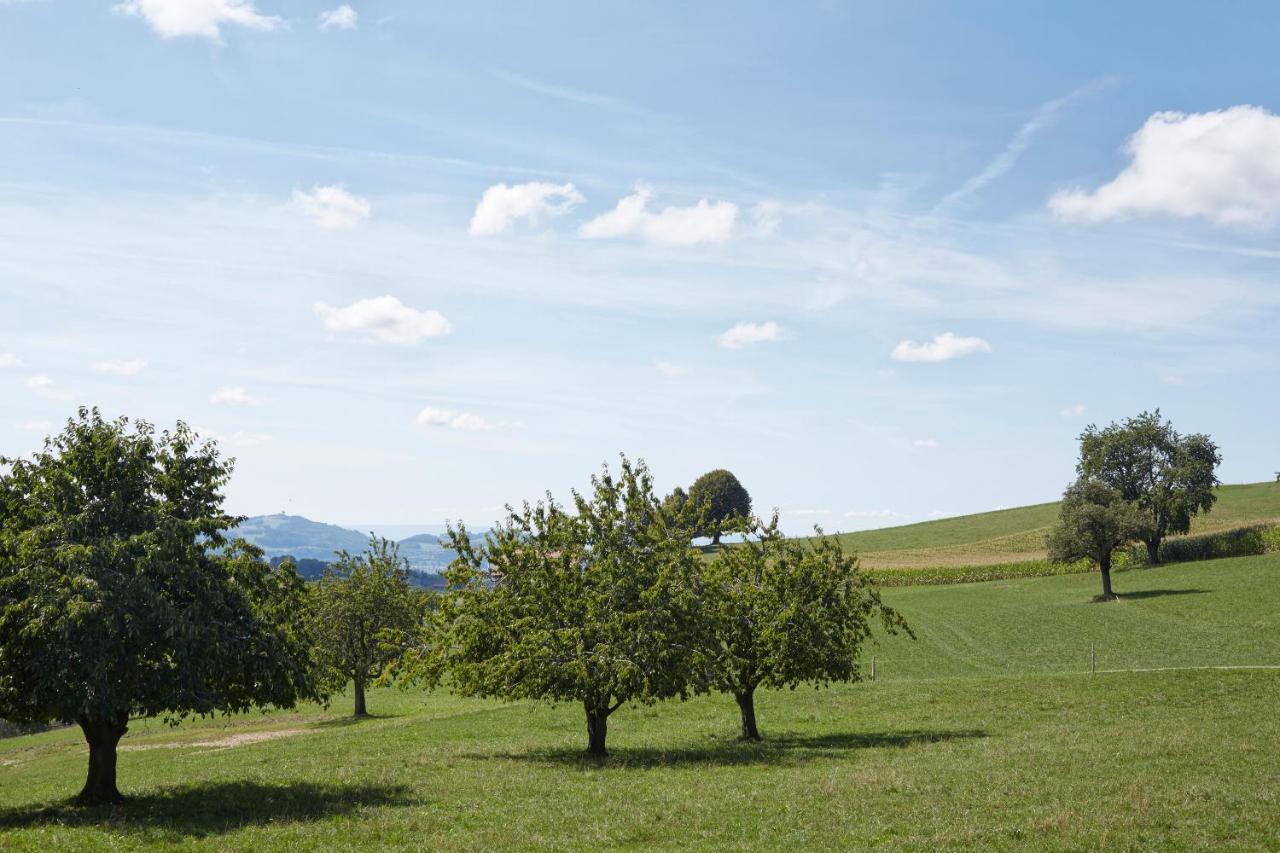 ホテル Bio Garni Moeschberg Grosshochstetten エクステリア 写真